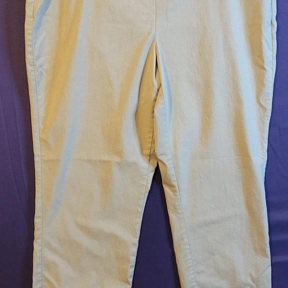 Christopher & Banks Signature Slimming Tan Pull-on Pants. Size 14 - Picture 1 of 7